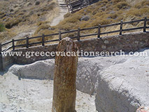 Stone Forest 3